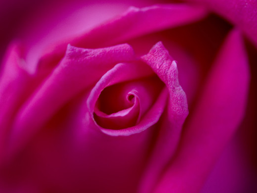 426119 (a): :1600x1200